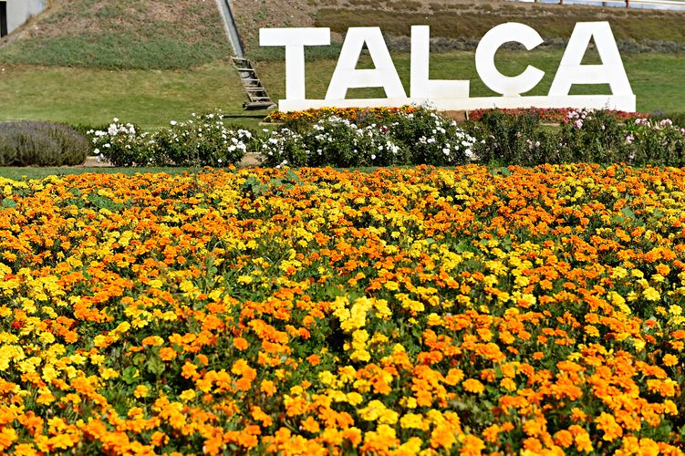 2015-Enduro-Talca(CHI)
