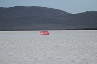 2018 - Land Speed World Records - Lake Gairdner (AUS)