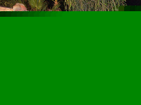2014-Women's Cross-Country Rallies-OiLibya Rally